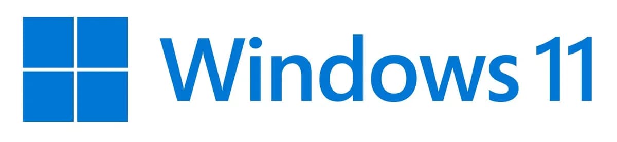Microsoft MS Windows 11 Pro FPP 64-bit EN Intl