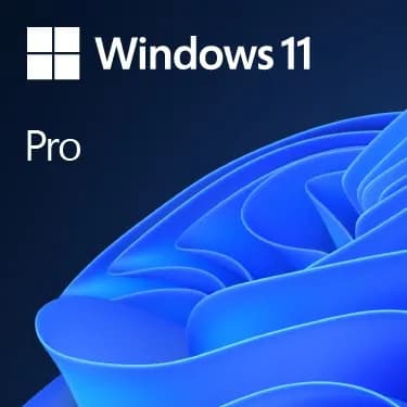 Microsoft MS Windows 11 Professional 64bit English 1pk DVD OEM