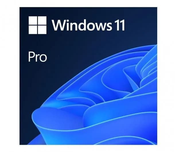 Microsoft MS Windows 11 Professional 64bit Polish 1pk DVD OEM
