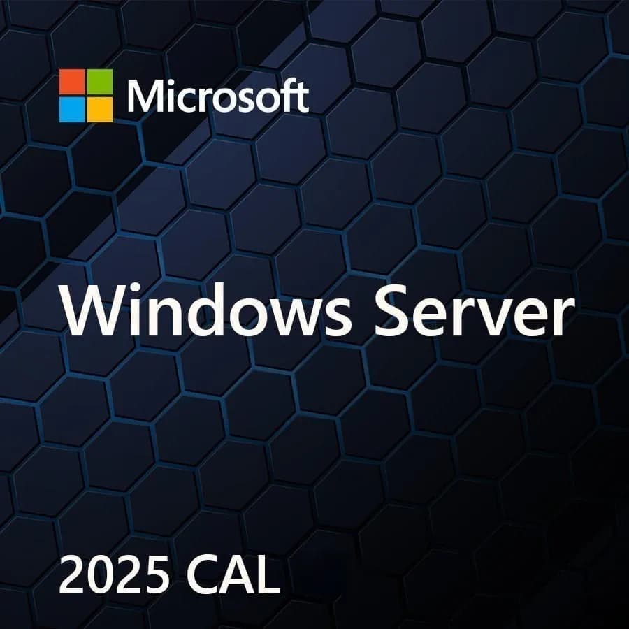 Microsoft MS Windows Svr CAL 2025 PL 5Clt Device CAL OEM