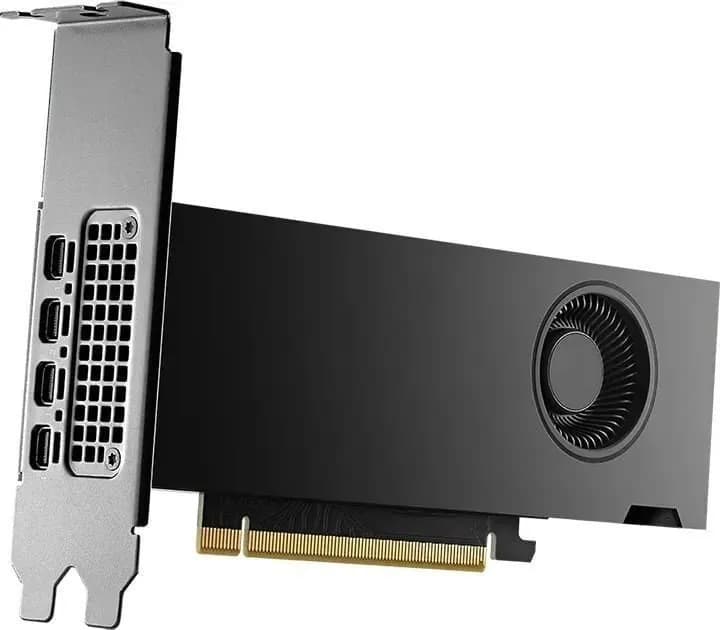PNY NVIDIA 2000 Ada 16GB LowProfile, PCIe 4.0 x16, Dual Slot, 4x Mini DP 1.4a, 16 GB GDDR6, zdjęcie 1 z 4