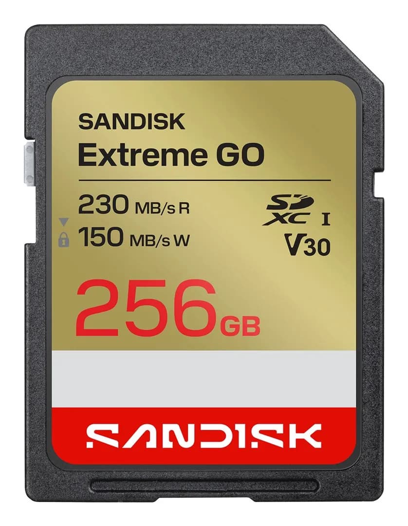 SanDisk Extreme Go SD UHS-I 256GB SD 230MB/s(R), 150MB/s(W), zdjęcie 1 z 2