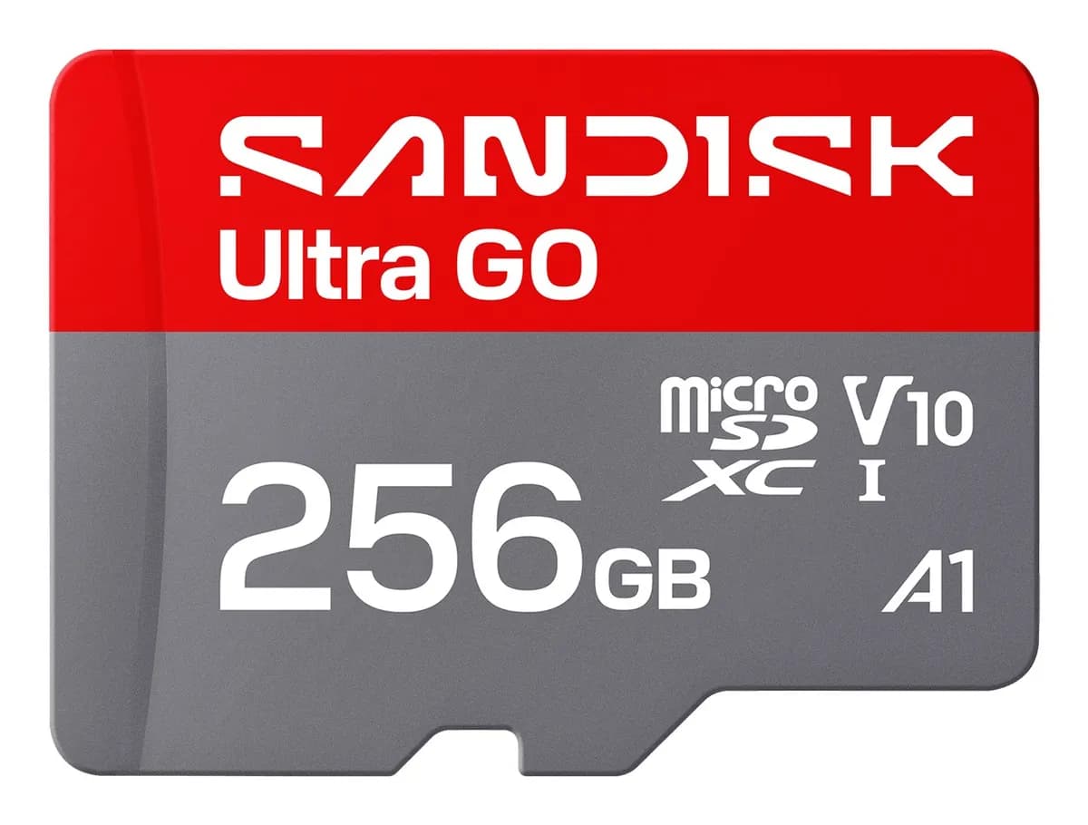 SanDisk Ultra Go microSD UHS-I 256GB MicroSD 190MB/s(R), zdjęcie 1 z 4